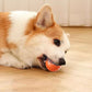 🐾 Brinquedo Interativo Inteligente para Cães – Bola Auto-Rolante que Mantém seu Pet Ativo e Feliz