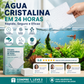🐠💧 Filtro Clarificador de Água para Aquário – Tecnologia Favo de Mel para Água Cristalina Rápida e Livre de Odores