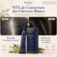 🌿✨ Pente para tingir cabelo com ervas – coloração natural fácil em casa