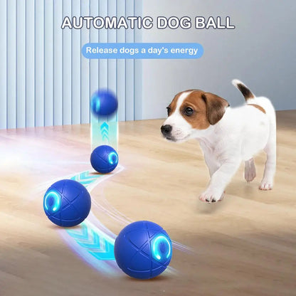 🐾 Brinquedo Interativo Inteligente para Cães – Bola Auto-Rolante que Mantém seu Pet Ativo e Feliz