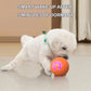 🐾 Brinquedo Interativo Inteligente para Cães – Bola Auto-Rolante que Mantém seu Pet Ativo e Feliz