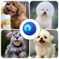 🐾 Brinquedo Interativo Inteligente para Cães – Bola Auto-Rolante que Mantém seu Pet Ativo e Feliz