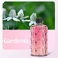 Creative Gift * Multifunctional Wireless Automatic Aromatherapy Machine