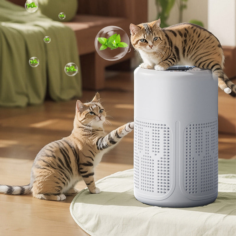 🌬️✨ Tenha um ar mais limpo e saudável em casa em minutos — respire melhor todos os dias
