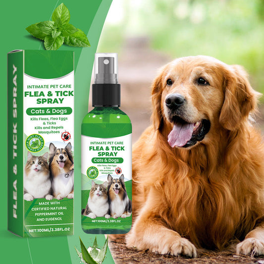 ⏰🔥LIMITED TIME 50% OFF! 🐾 Natural Flea & Tick Spray – Peppermint & Tea Tree Oil, Safe for Cats & Dogs, Soothes Itchy Skin & Chemical-Free 🌿✨