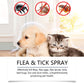 ⏰🔥LIMITED TIME 50% OFF! 🐾 Natural Flea & Tick Spray – Peppermint & Tea Tree Oil, Safe for Cats & Dogs, Soothes Itchy Skin & Chemical-Free 🌿✨