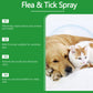 ⏰🔥LIMITED TIME 50% OFF! 🐾 Natural Flea & Tick Spray – Peppermint & Tea Tree Oil, Safe for Cats & Dogs, Soothes Itchy Skin & Chemical-Free 🌿✨