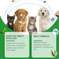 ⏰🔥LIMITED TIME 50% OFF! 🐾 Natural Flea & Tick Spray – Peppermint & Tea Tree Oil, Safe for Cats & Dogs, Soothes Itchy Skin & Chemical-Free 🌿✨