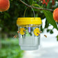 ⏰🔥LIMITED TIME 50% OFF! 🌞 Solar Powered Hanging Wasp Trap – Safe, Eco-Friendly & Keep Your Outdoor Space Wasp-Free 🐝✨