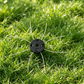 ⏰🔥LIMITED TIME 50% OFF! ⚡ Heavy-Duty Steel Wire Weed Eater Head – Durable, High-Performance & Perfect for Lawn & Garden Maintenance ✨🌿