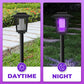 💥50% OFF NOW! ☀️ Solar-Powered Bug Zapper – Keep Mosquitoes Away Day & Night 🌿🦟