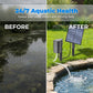 🐟 Save Your Fish Before It's Too Late!  ☀️ Solar-Powered Pond Aerator for Healthier Water & Happier Fish