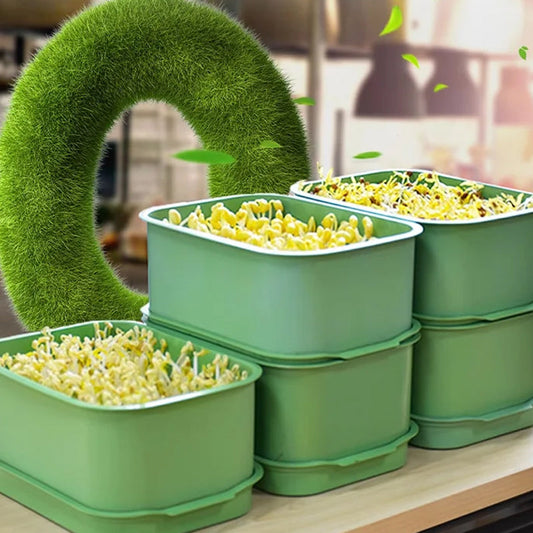 🌱 Caixa de cultivo empilhável para brotos de feijão – cultive brotos frescos em casa, de forma prática e sustentável! 💚✨
