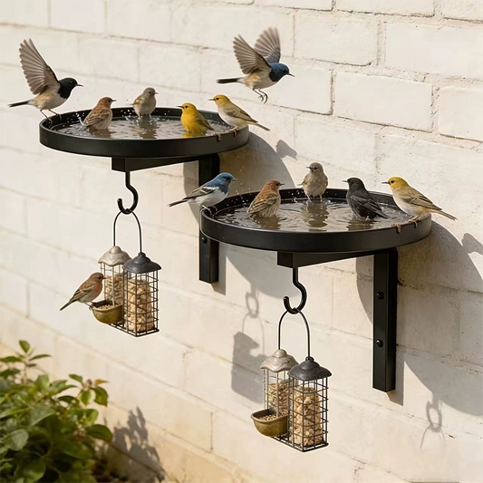 🐦 Banheira e Comedouro de Pássaros 2 em 1 para Parede – Decoração de Jardim + Água e Alimentação para Aves Silvestres
