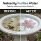 🦜🍃 Purificador de Água para Banho de Pássaros em Cobre – Água Sempre Limpa e Jardim Mais Natural