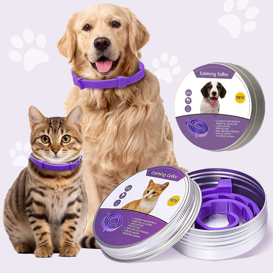 🐾 Coleira Ajustável Roxa para Cães e Gatos – Conforto e Estilo para Seu Pet