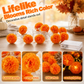 🎃✨ Luzes LED Decorativas em Formato de Calêndula – Decoração Aconchegante Para Halloween, Outono e Festas