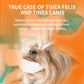 🐱🐶Colírio e Produto de Limpeza Ocular para Animais de Estimação – Fórmula suave com pH equilibrado, segura para cães e gatos. Alivia a vermelhidão, remove manchas de lágrimas e sujidade do dia-a-dia. Sem peróxido! 🌿💧